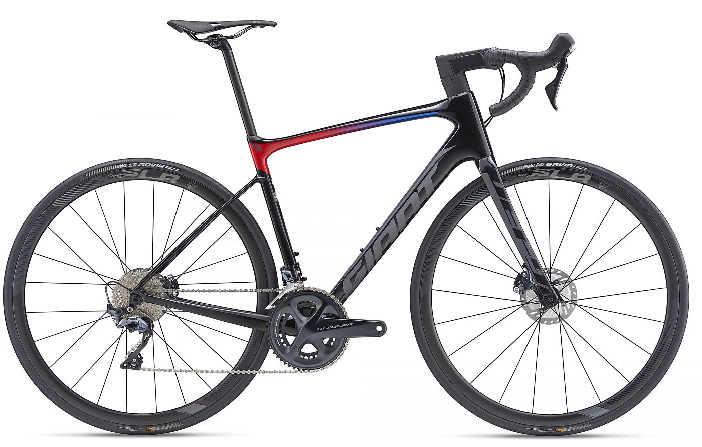 Giant defy 2024 1 2019